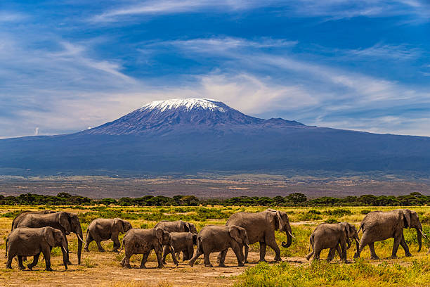 Amboseli National Park