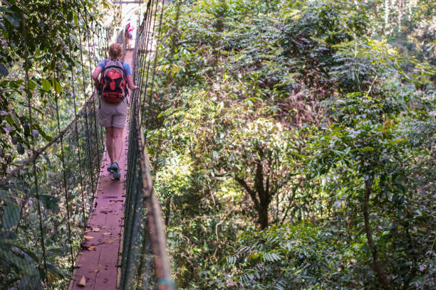 🌿 Eco-Friendly Safaris