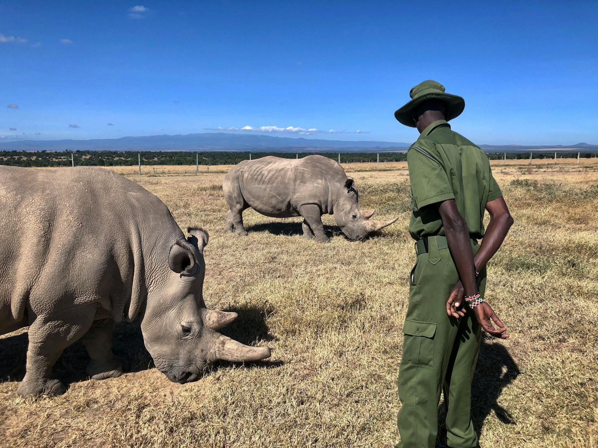 Ol Pejeta Conservancy