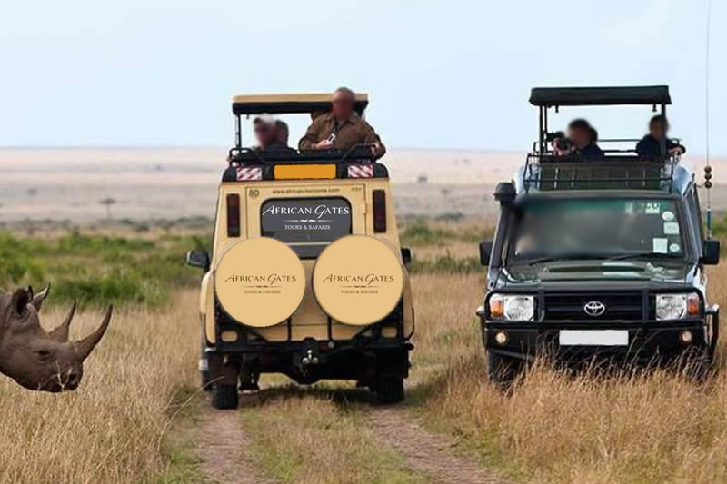 Safari Experience